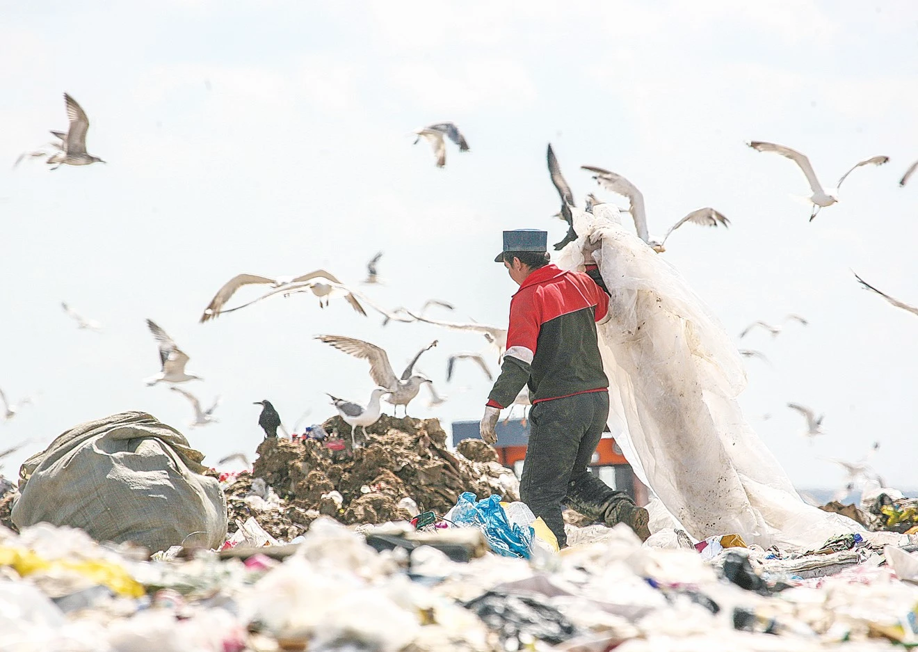 Тау-тау қоқыс қоршаған