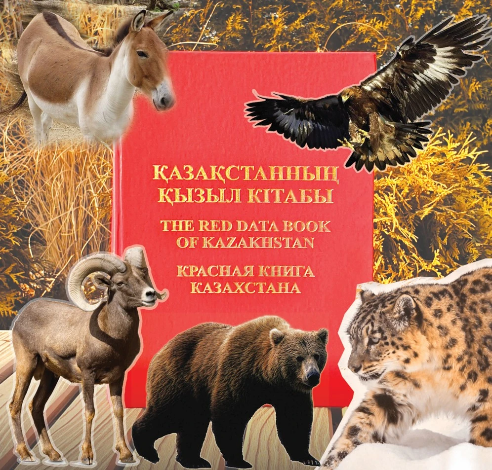 4 қазан – дүниежүзілік жануарларды қорғау күні: Жан-жануар да қамқорлыққа зәру