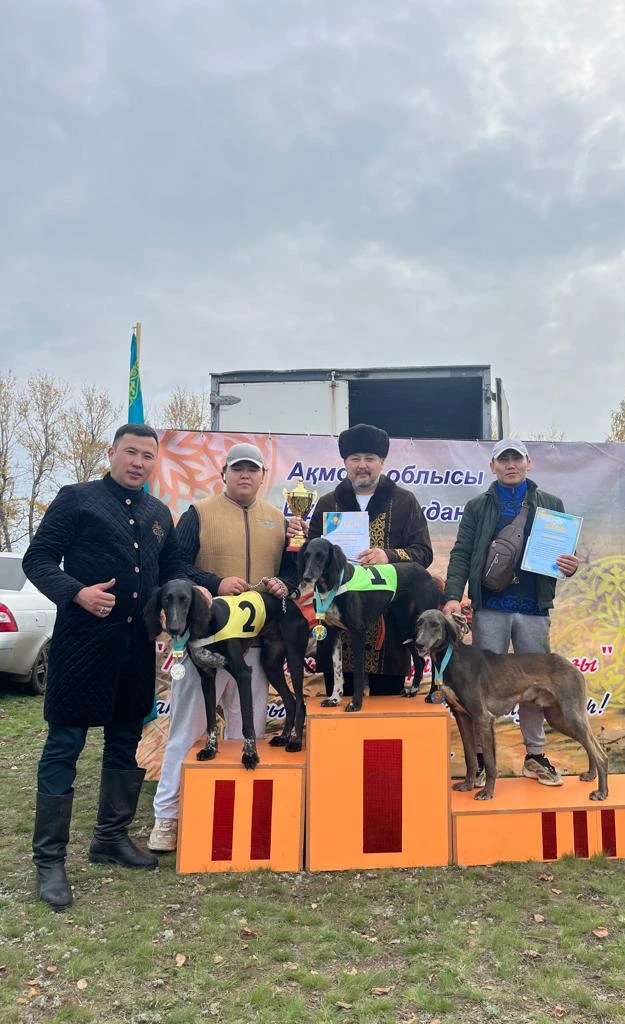 Тазылар тартысы