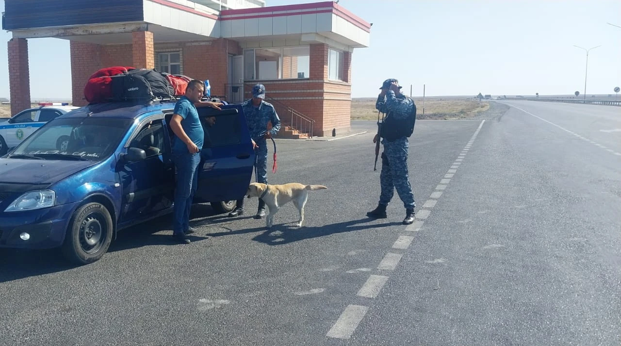 Иісшіл иттің көмегі