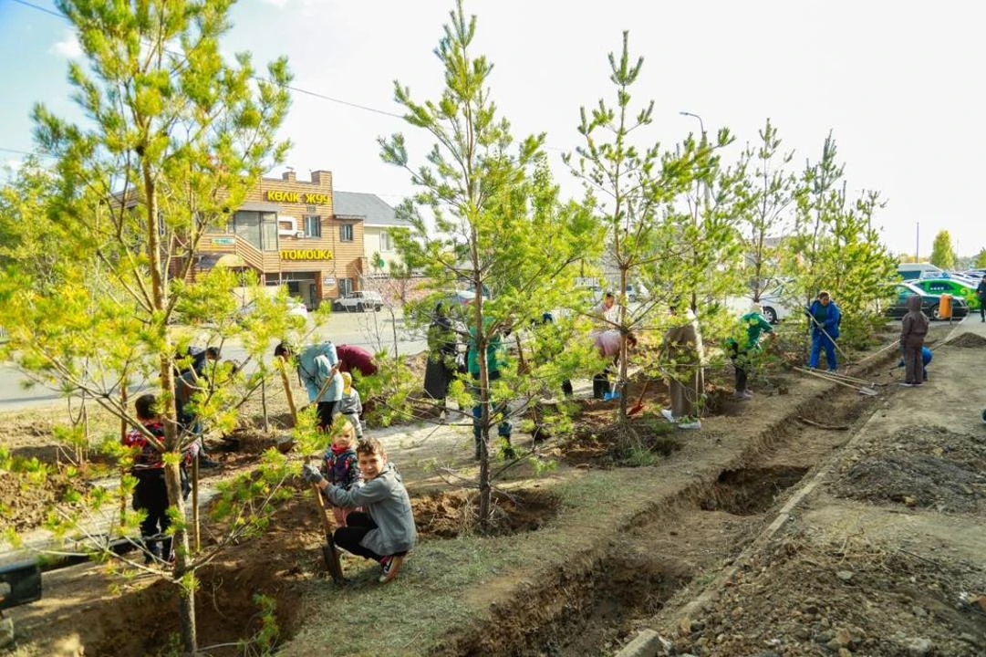 Тал егу – өнегелі дәстүр