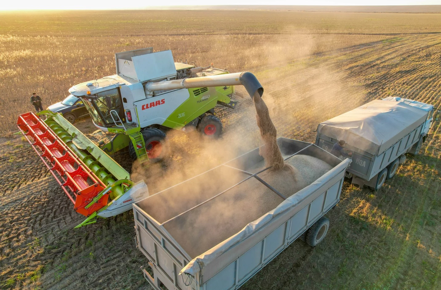 Арқаның алтын қамбасы