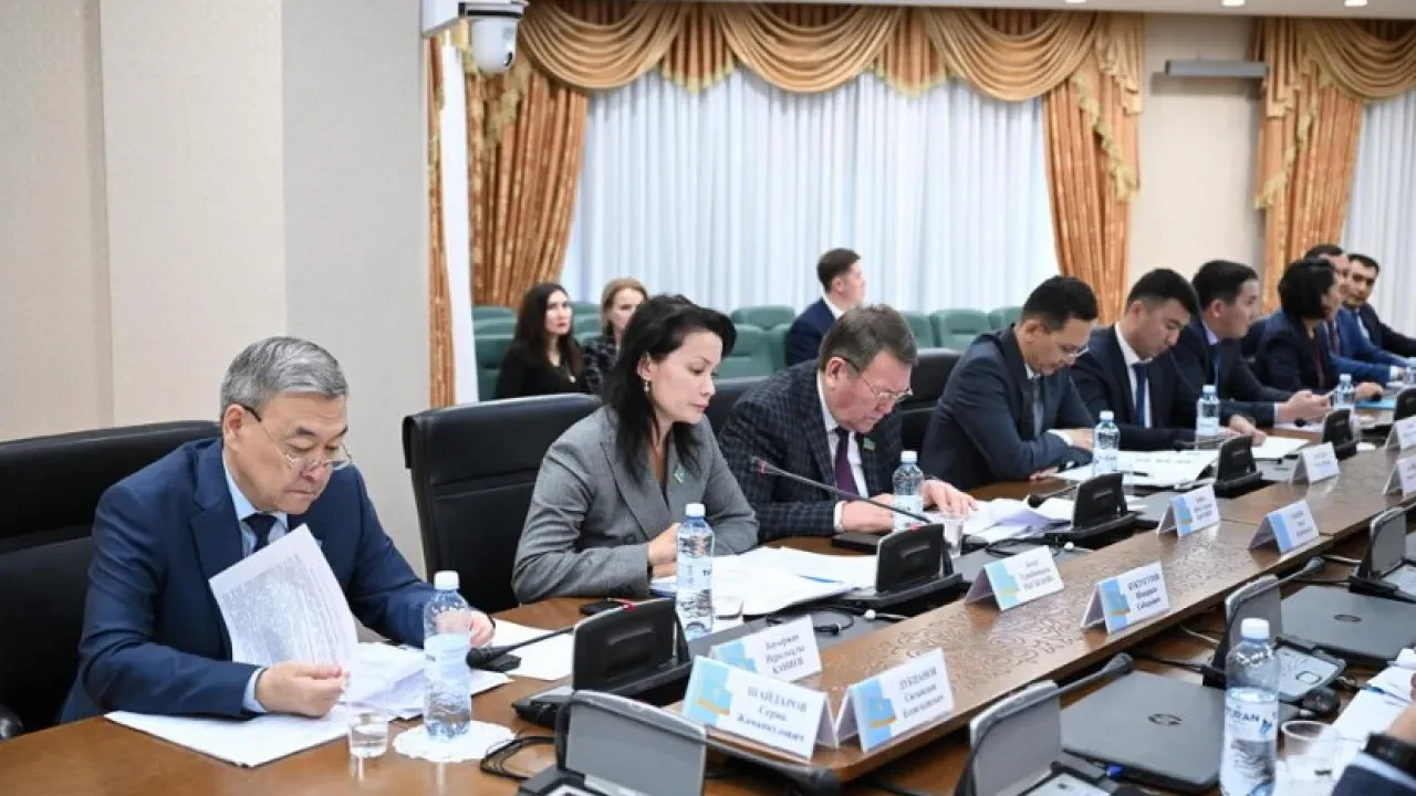 Шағын және орта кәсіпкерлік мәселесі