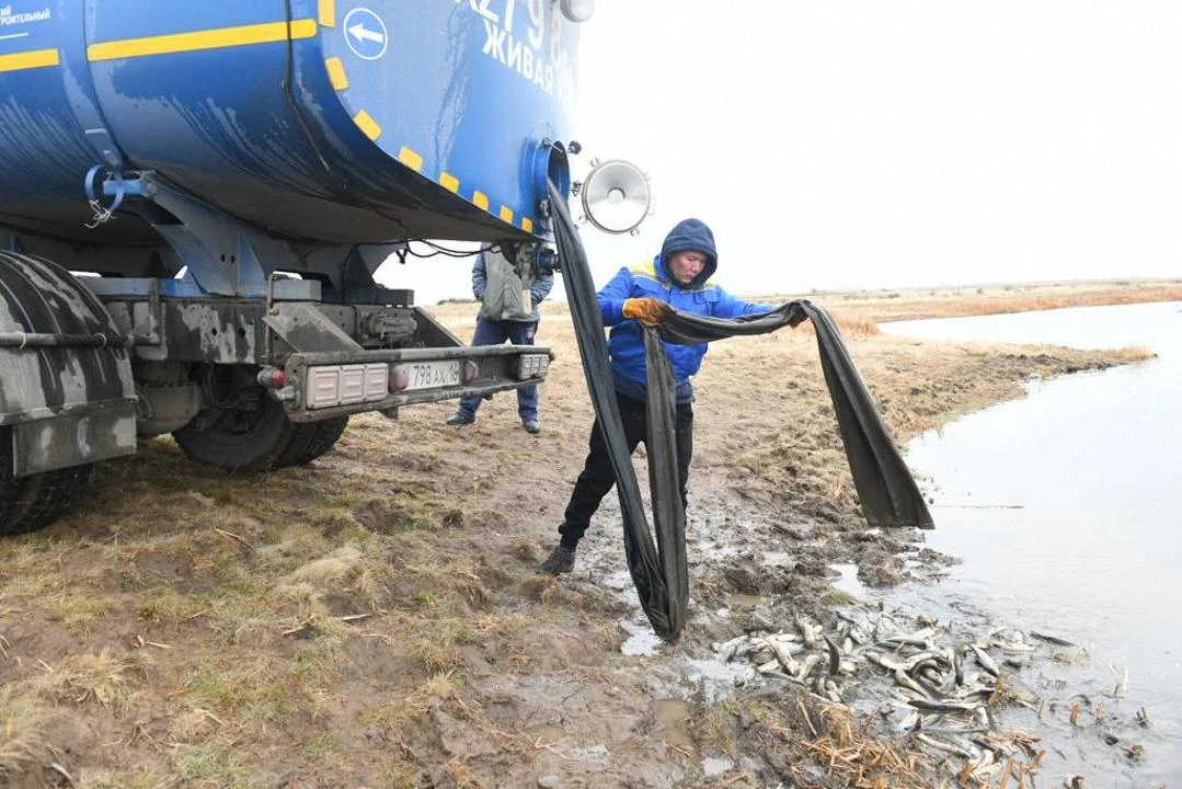 Есілдің несібесін еселейді