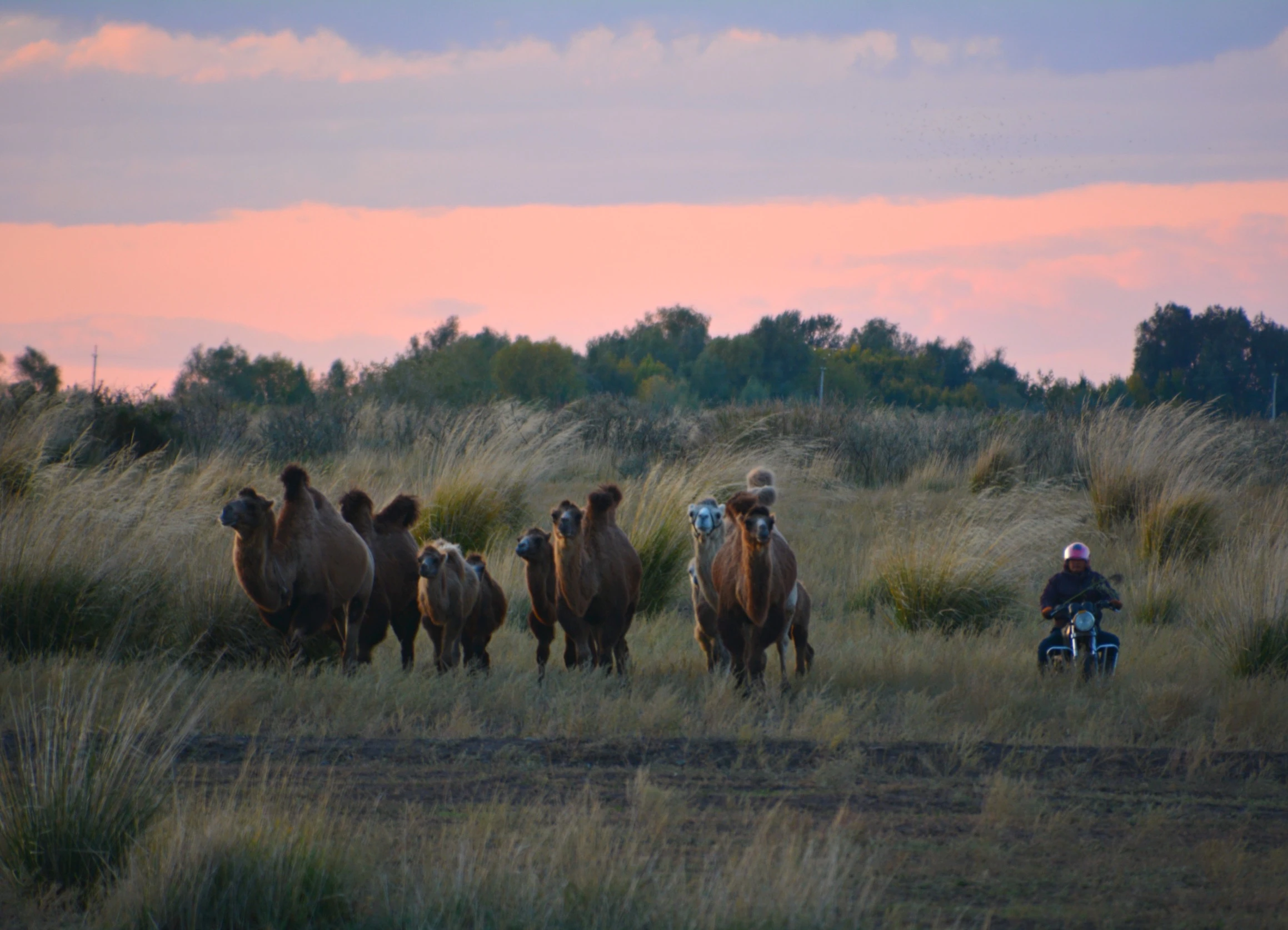 Ойсылқара баққан ауыл