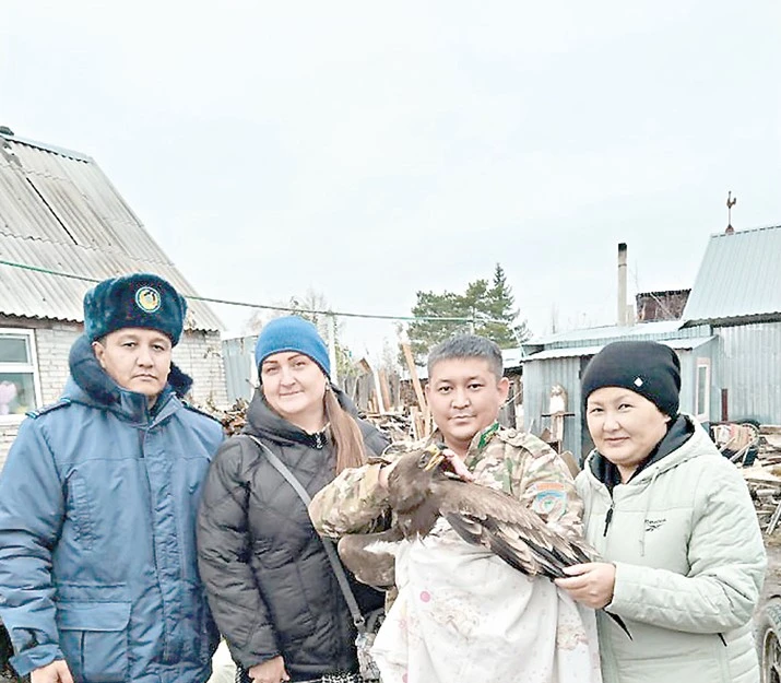 Дала қыранын құтқарып қалды