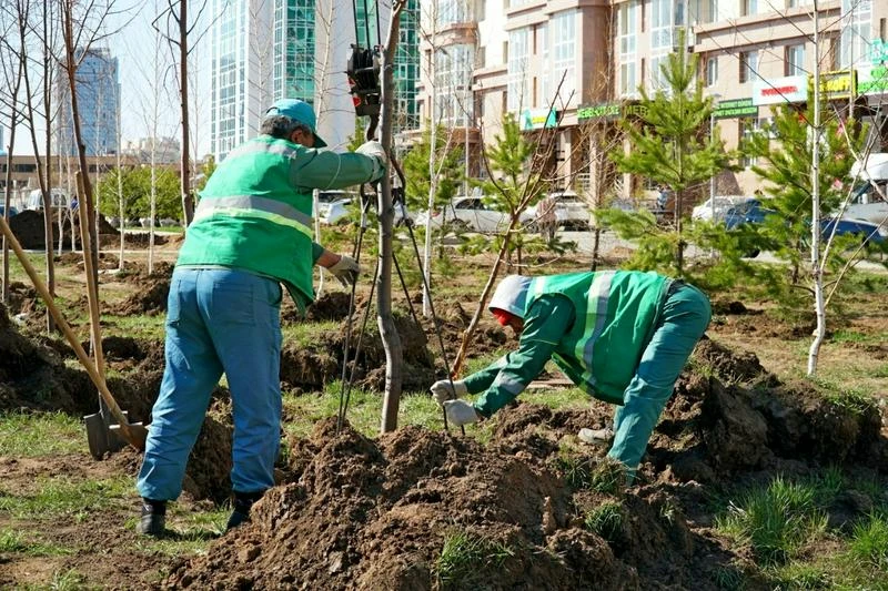 Елорданы көгалдандырудың жай-күйі