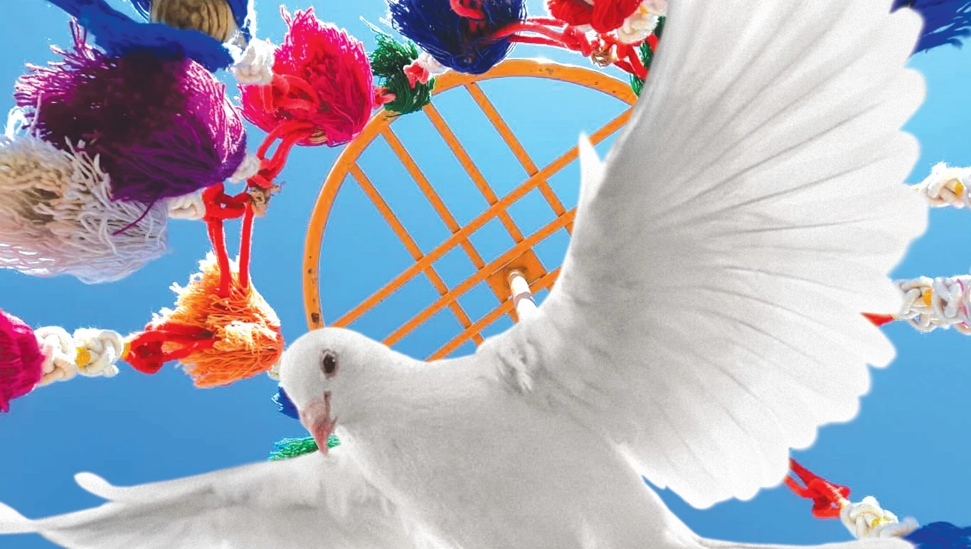 Төзімнің берекесі бар