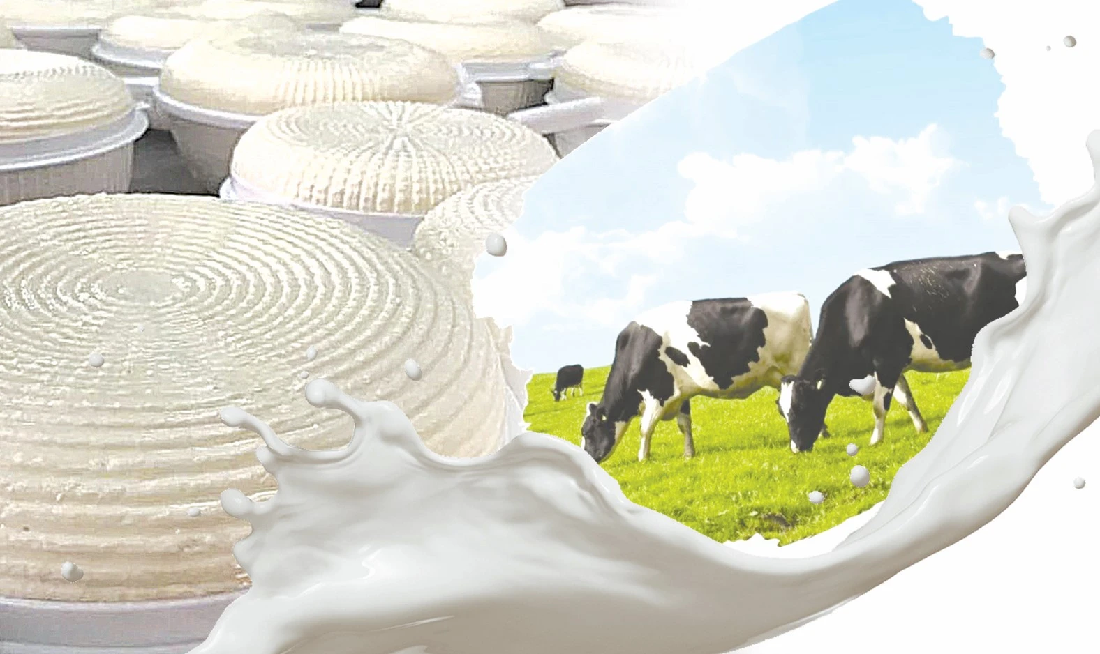 Өрісі кең өңдеу өнеркәсібі