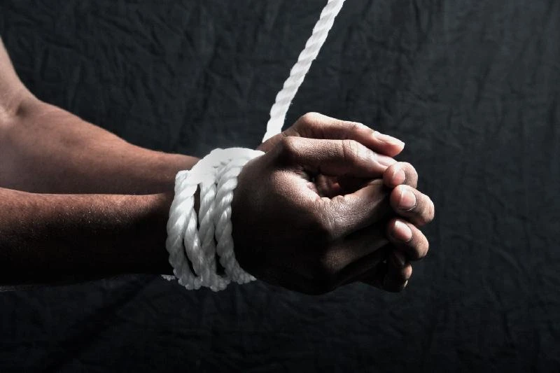 Адам ұрлаған төртеу