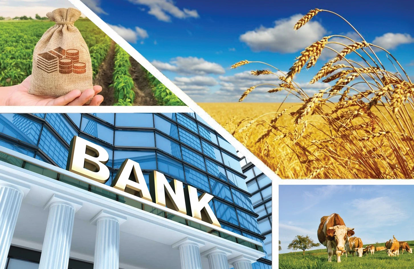 Агробанк туралы идея банктерден қолдау таппады