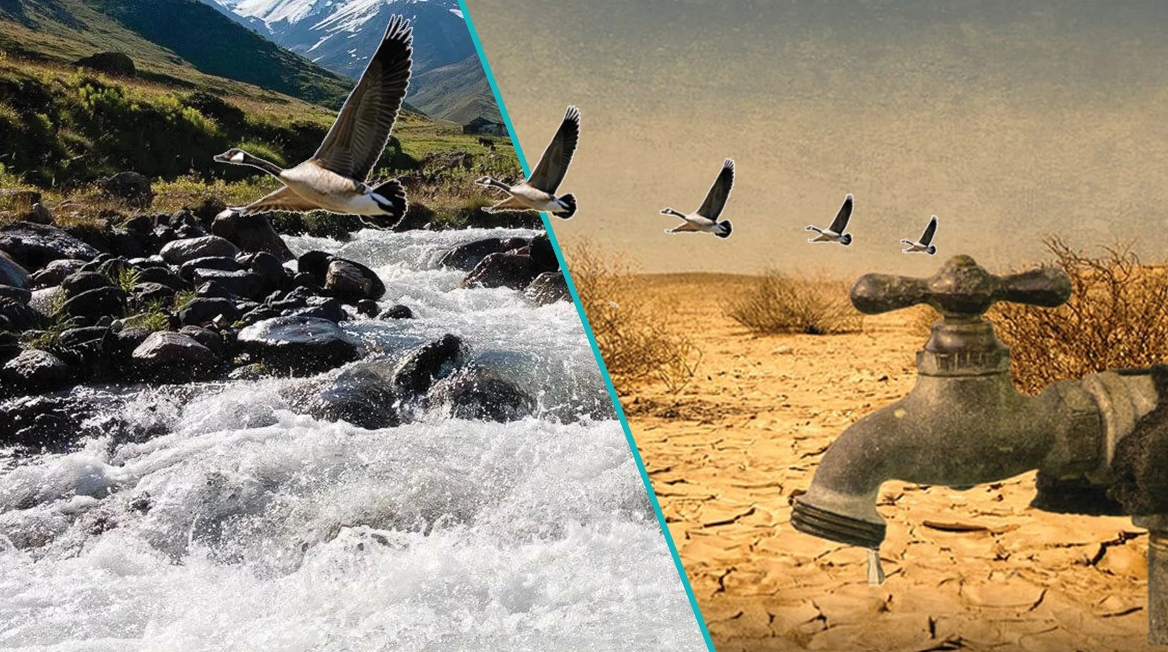 Орталық Азияға ортақ су мәселесі