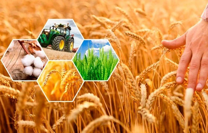 Еңбек адамының абыройы