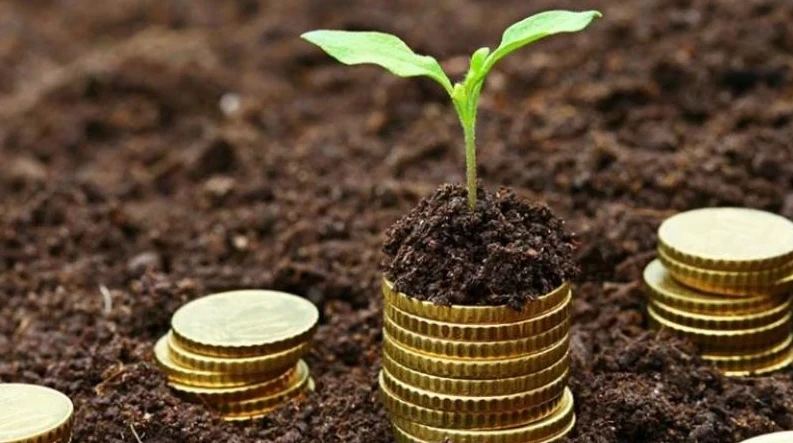 Жер салығын төлеу міндетті