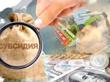 Сарсаңға салған субсидия