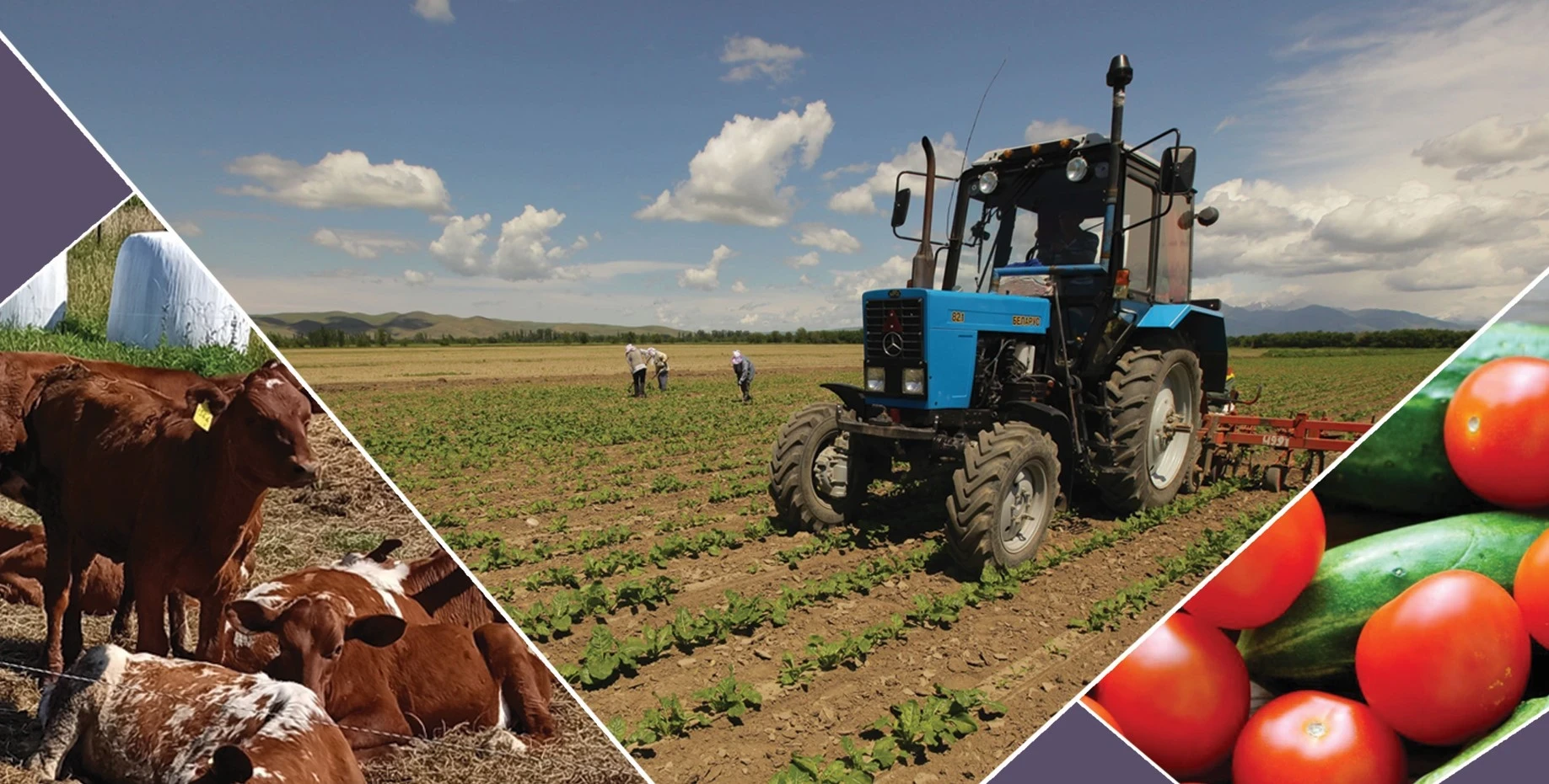 Алматыда Ауыл шаруашылығы ғылымдары академиясының жалпы жиналысы өтті