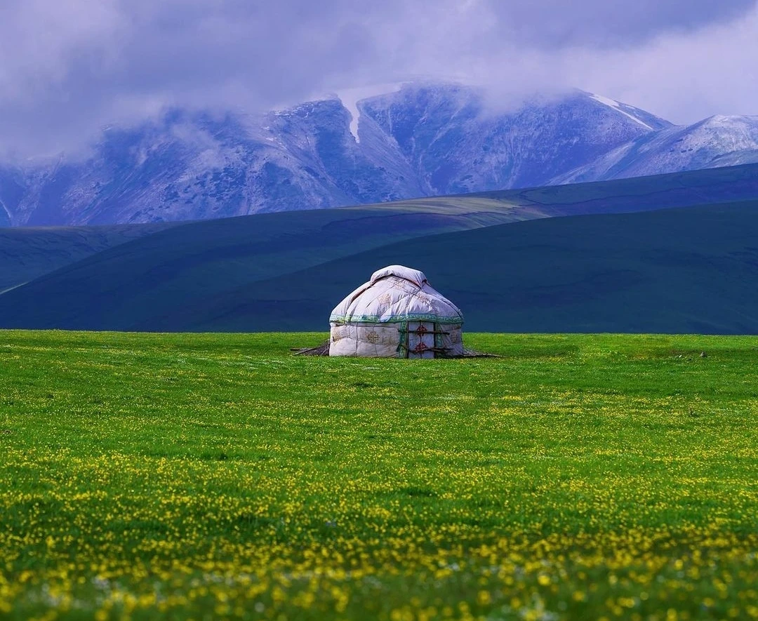 Асы жайлауы мемлекет меншігіне қайтарылды