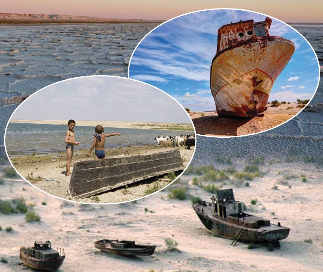 Аралды құтқарудың бүгінгі амалы