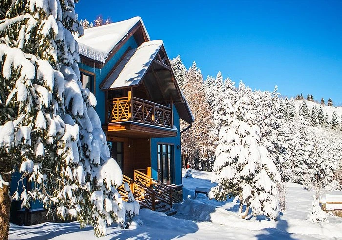 Ойқарағайға оң көзқарас