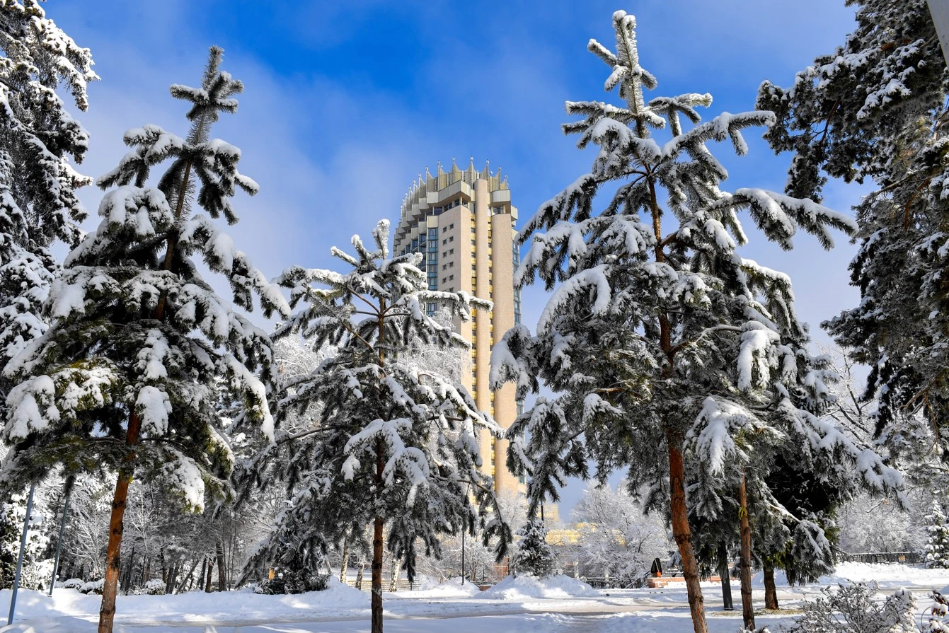 Алматыға тамсанған The New York Times