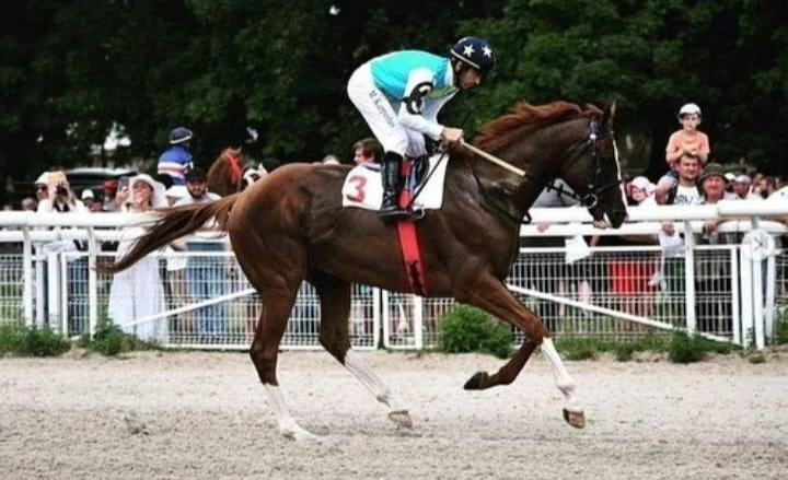 «Тарихи жеңісті тарту етті»: Тұңғыш рет Қазақ тұлпары әлемдік жарыста мәрені бірінші болып кесті