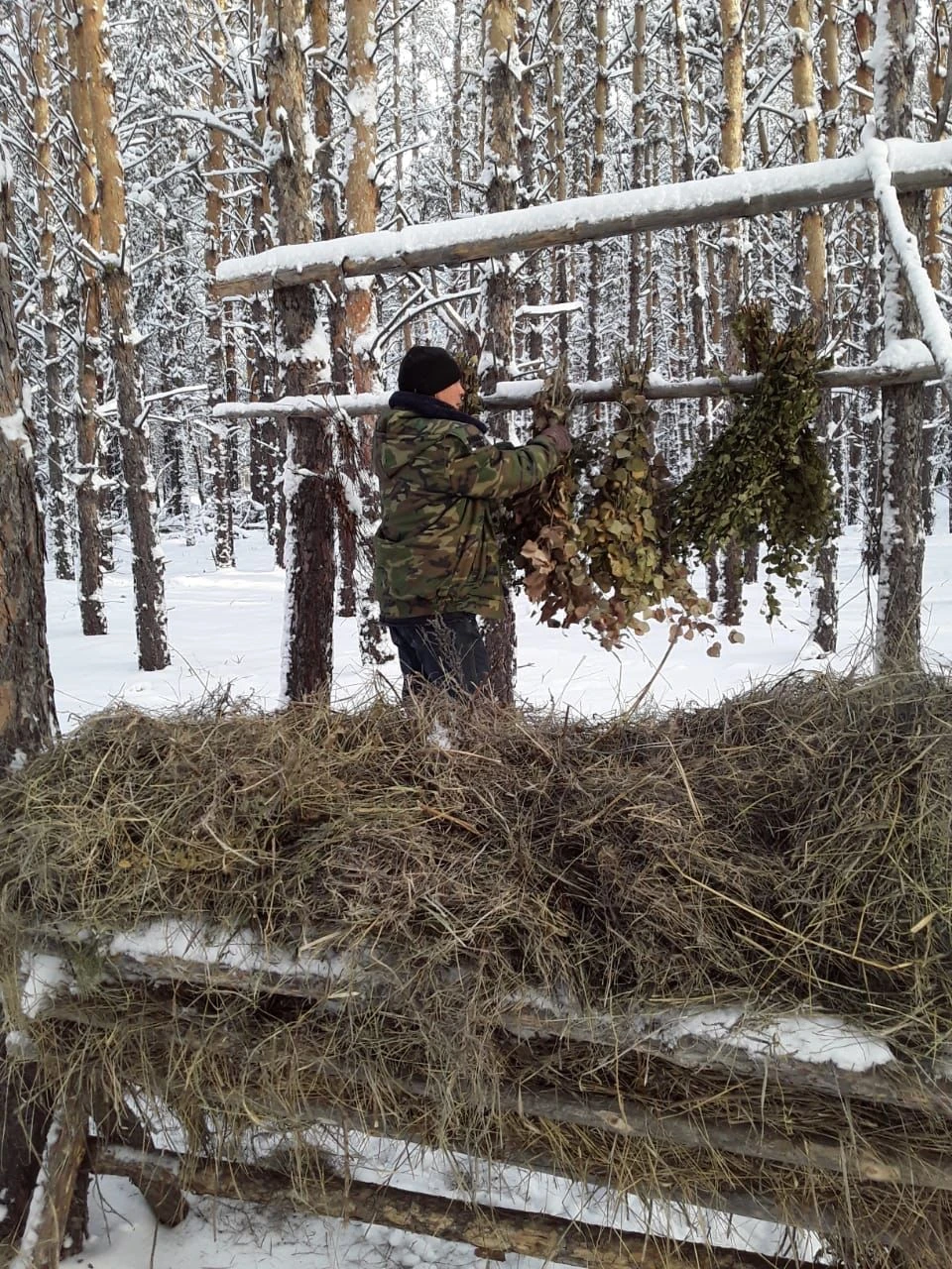 Орманшы – түз тағысының қамқоры