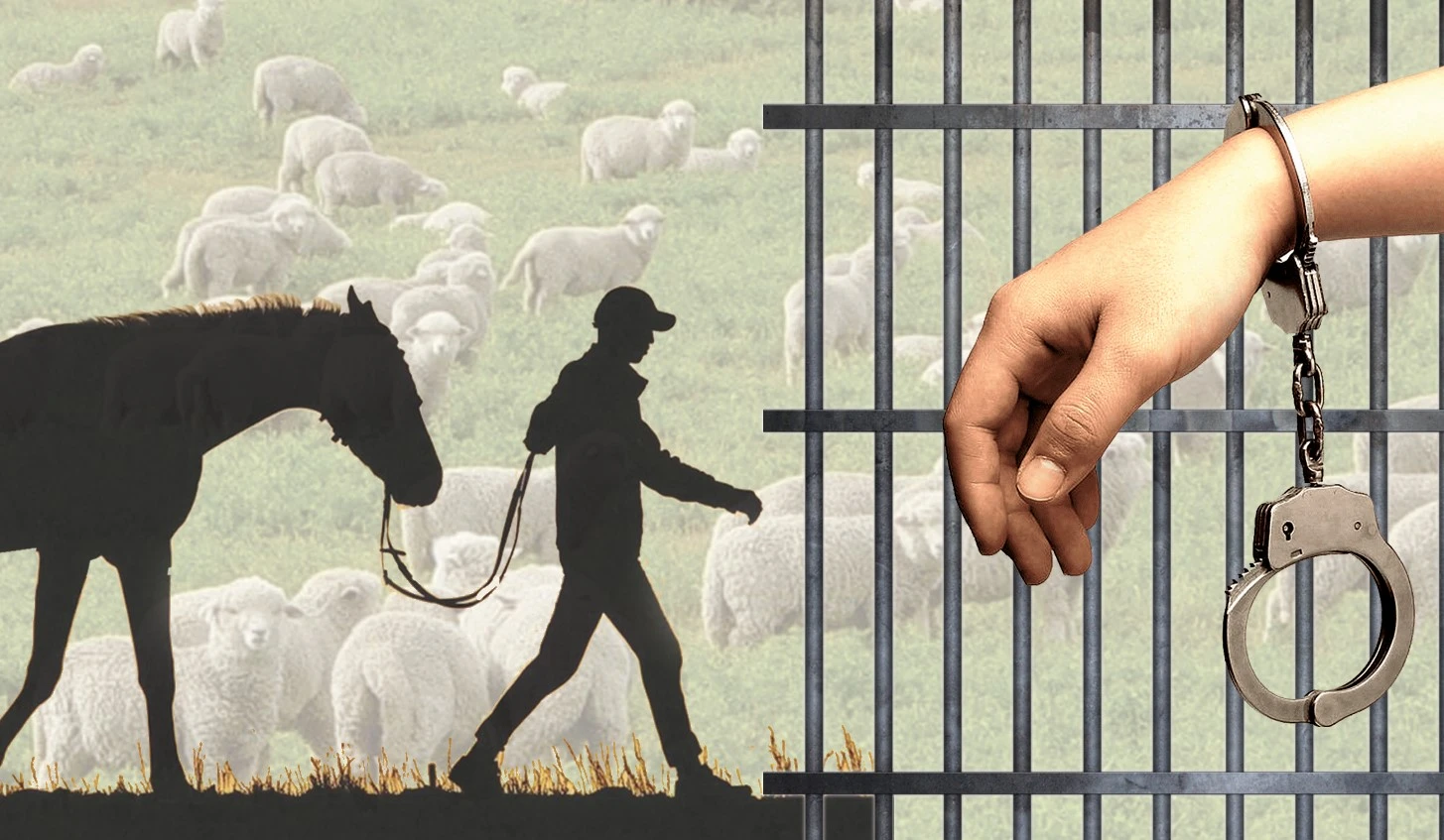 Мал ұрлығына қатысты жаза қатаңдатылды