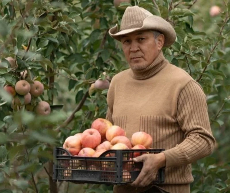 Қайраттың бағы