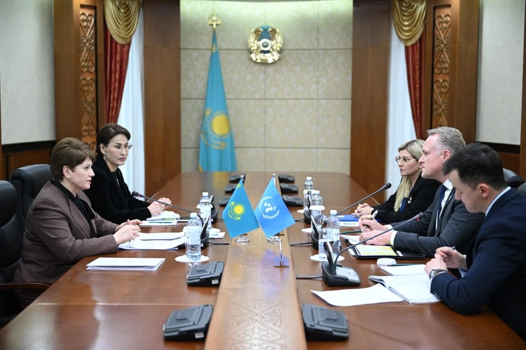 Гендерлік саясаттың ұлттық үлгісі