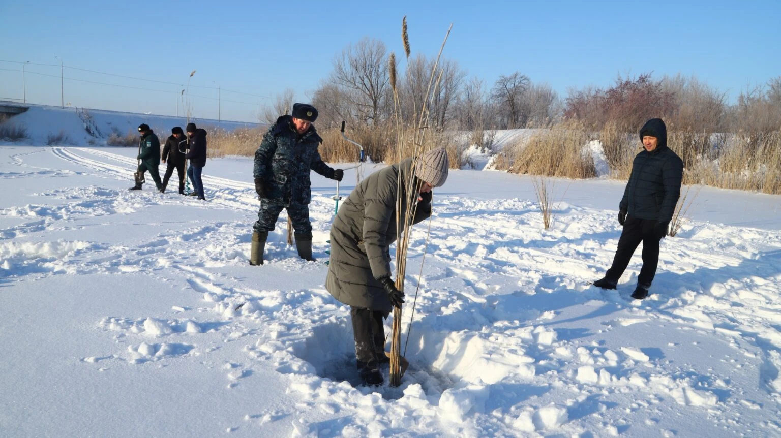 Қармақ емес, қамыс сал