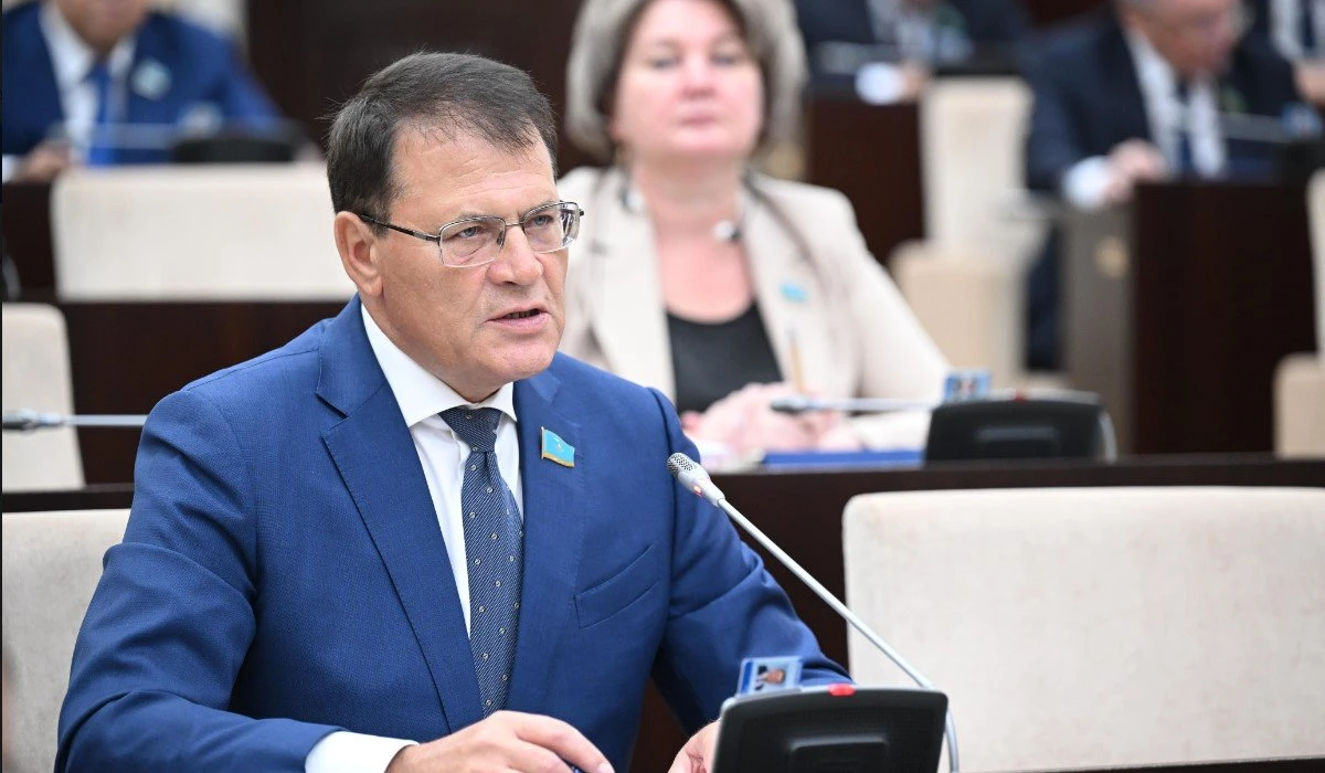 «Вандализм жиілеп кетті»: Сенатор креативті индустрия өкілдерін тартуды ұсынды