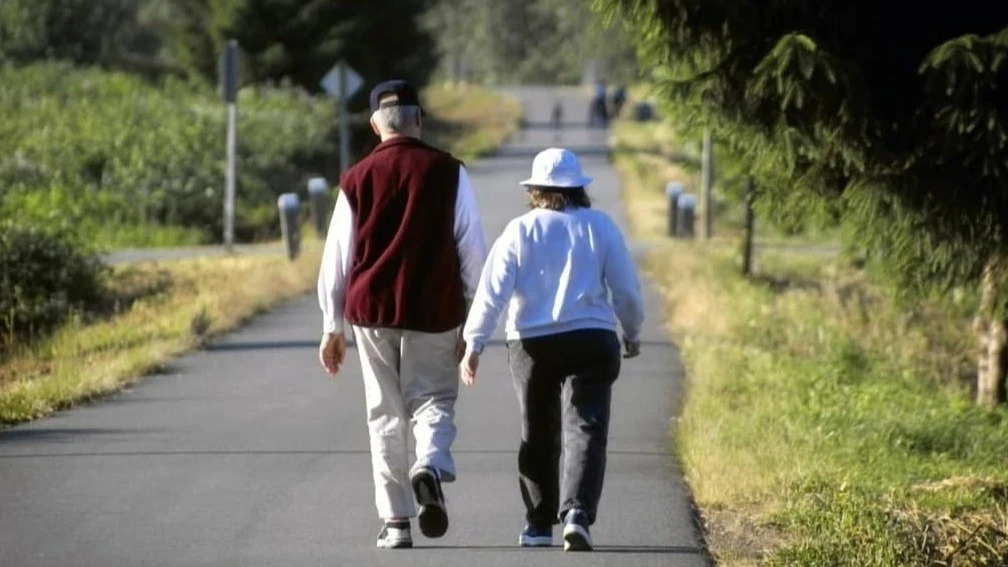 Күн сайын 10 мың қадам жүрсеңіз, ағзада қандай өзгерістер байқалады?
