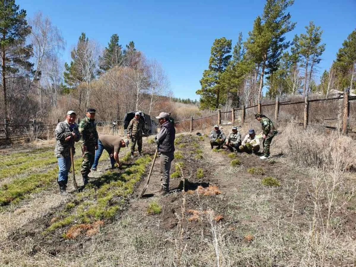 Орман шаруашылығы қызметкерлерінің жалақысы 100%-ға артады – министр