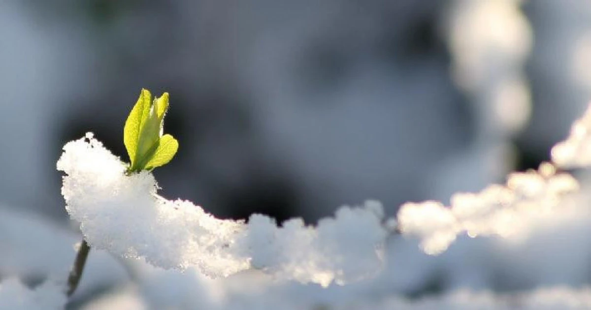 "-20 градусқа дейін төмендейді": Наурыз айында ауа райы қандай болады?
