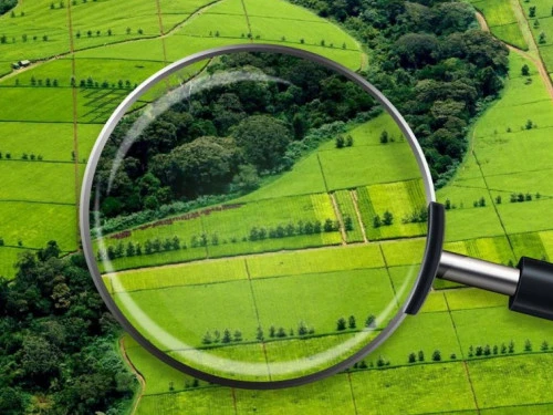 Кешенді тәсіл мен жүйелі шара