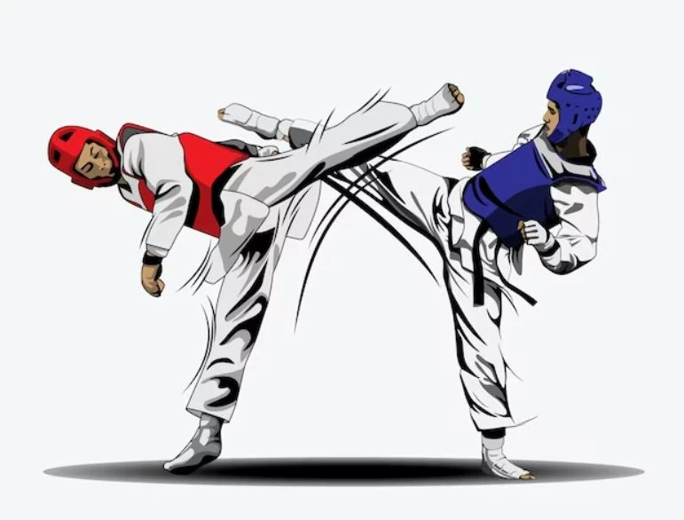 Жарыс күнделігі