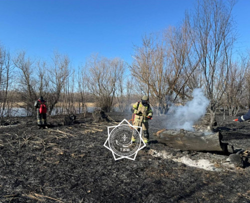 Каспий теңізінің жағалауында 1000 гектар қамыс өртенді