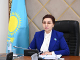 Бибігүл Жексенбай ТүркПА комиссиясының отырысына қатысты