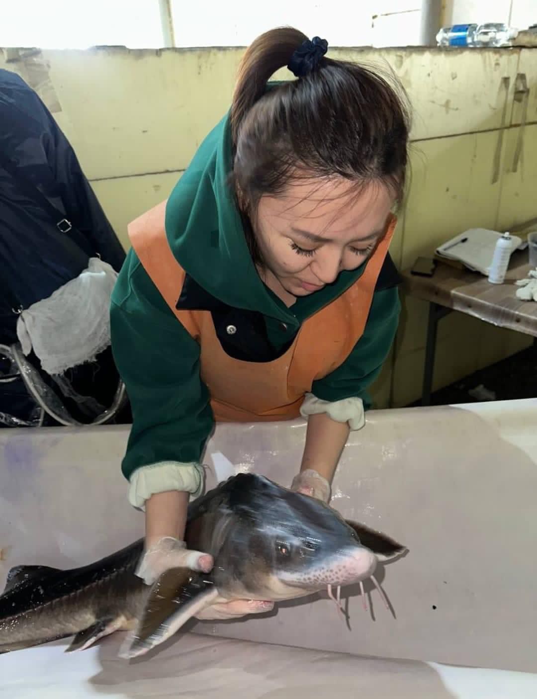 Аквамәдениет: Балық өсіру де сауаттылықты талап етеді