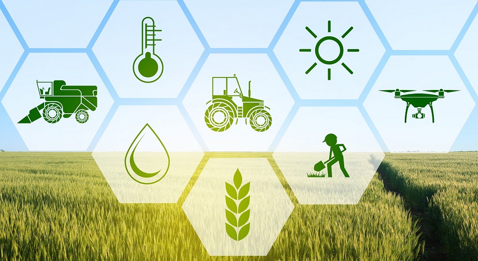 Кооперативтерге серпін берген бағдарлама