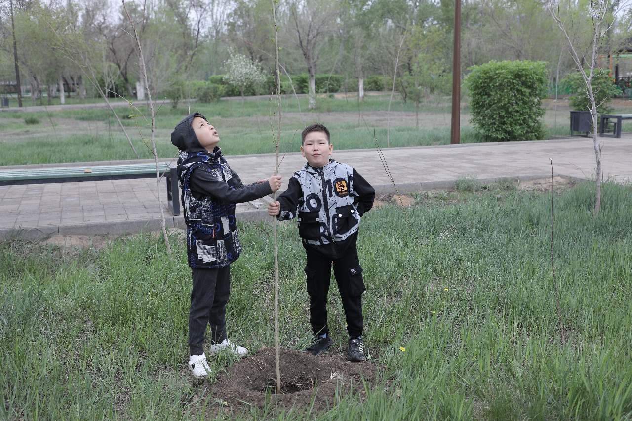 Ұлытау облысында 18 миллион түп ағаш отырғызылады