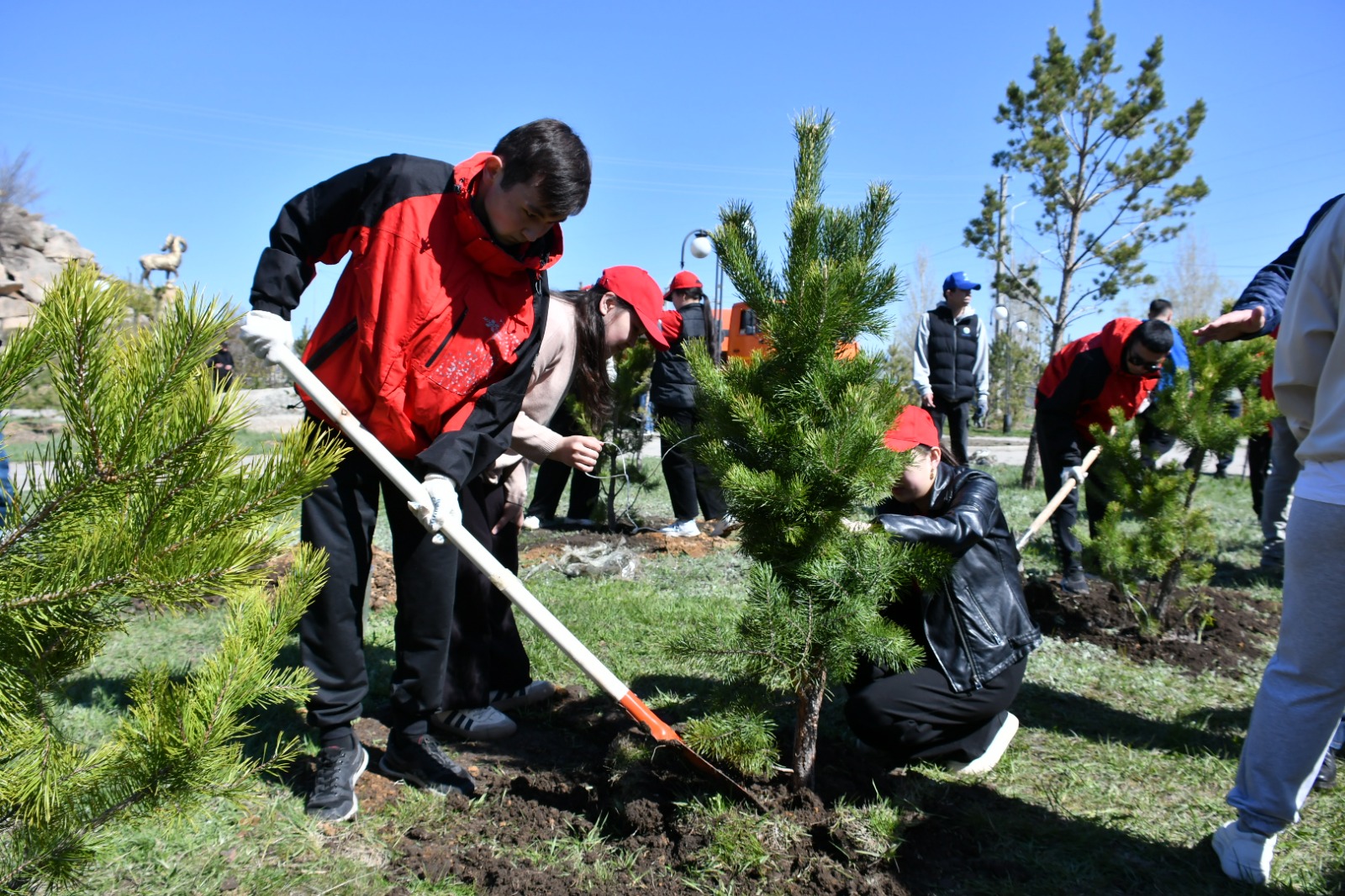 Көкшедегі 16 мың көшет