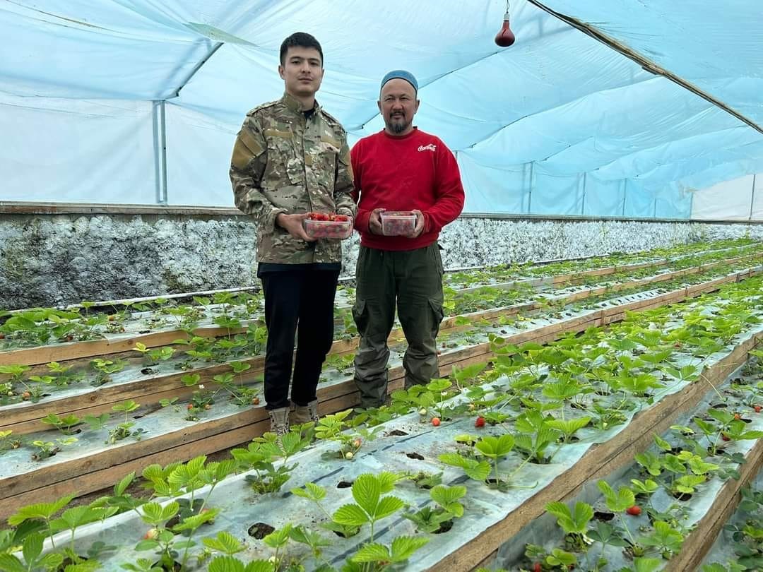 Экзотикалық жеміс өсіруді қолға алмақ