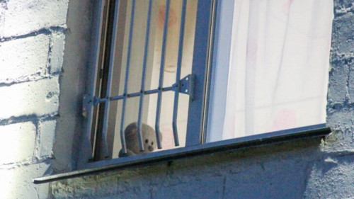 БҚО-да 16 жастағы жігіт өз анасын өлтірді