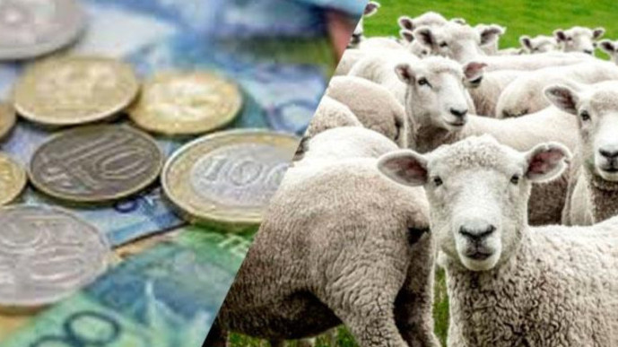 Тасқын кезінде малынан айырылған Құлсары тұрғындарына өтемақы төленеді