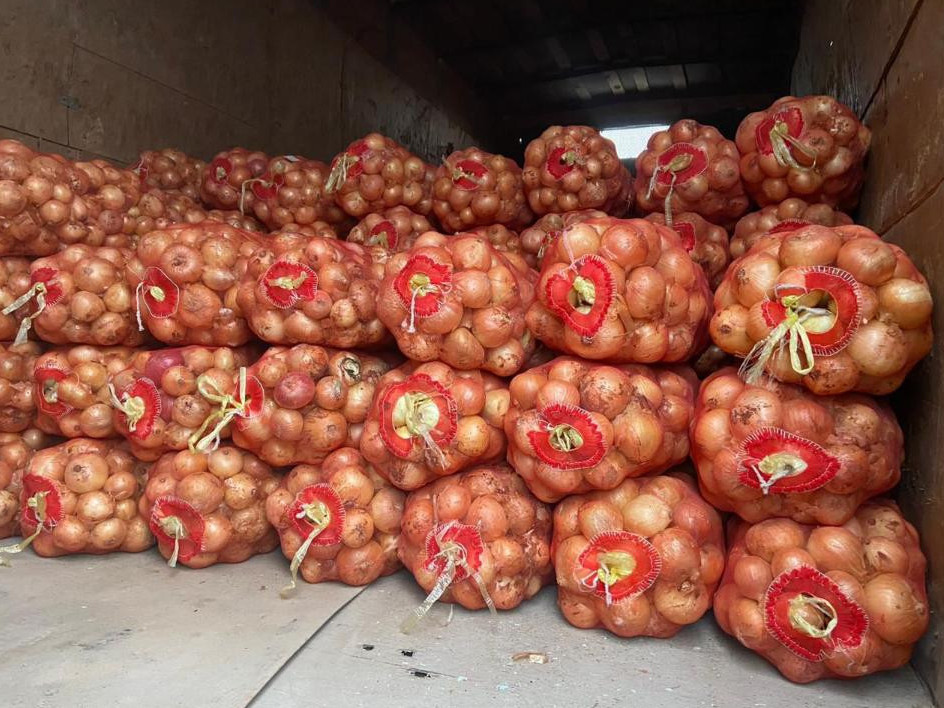 Қызылорда облысына ерте пісетін көкөністер тасымалданып жатыр