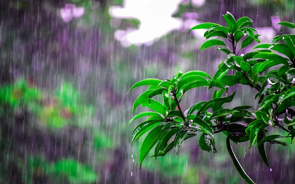 Найзағай, жаңбыр, жел: Ертең ауа райы қандай болады?