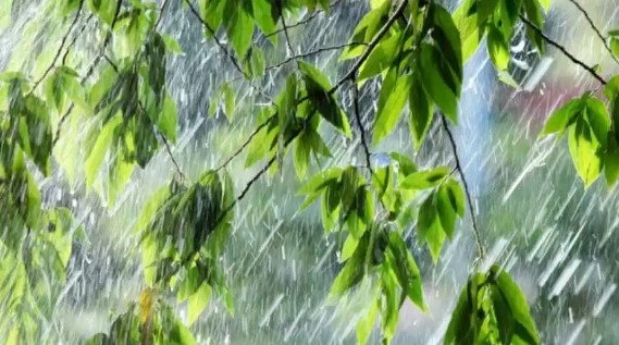 23 мамырға арналған ауа райы болжамы