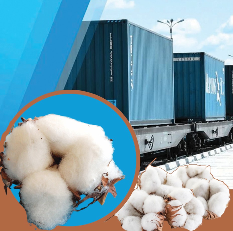 Мақталы аймаққа апаратын магистраль