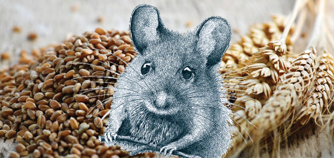 Жазмыштан озмыш жоқ